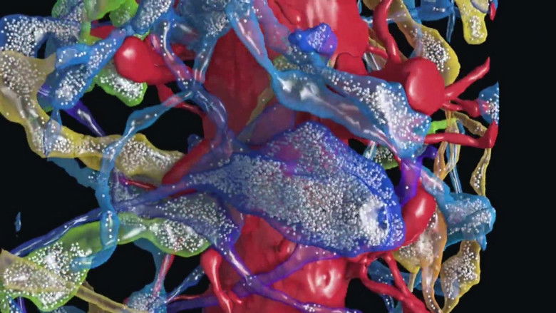 кадр из фильма Brain Factory