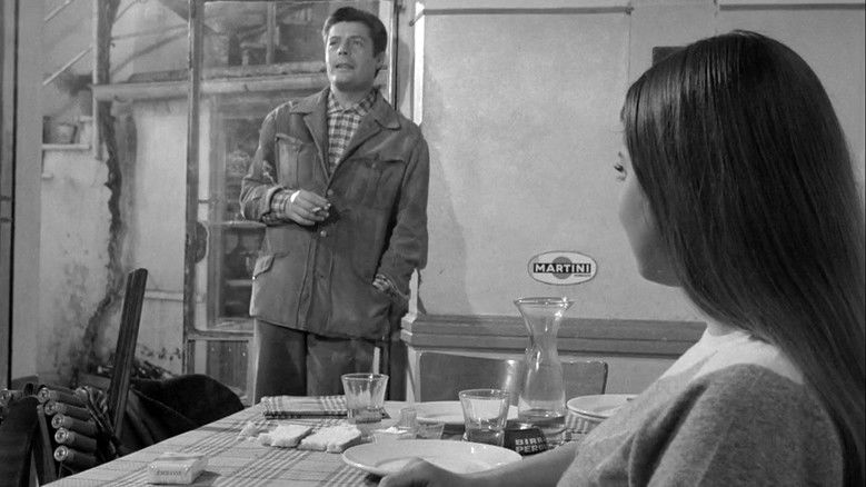 кадр из фильма Tutti Innamorati