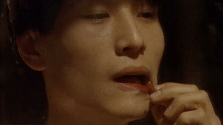 кадр из фильма Восточный дворец, западный дворец