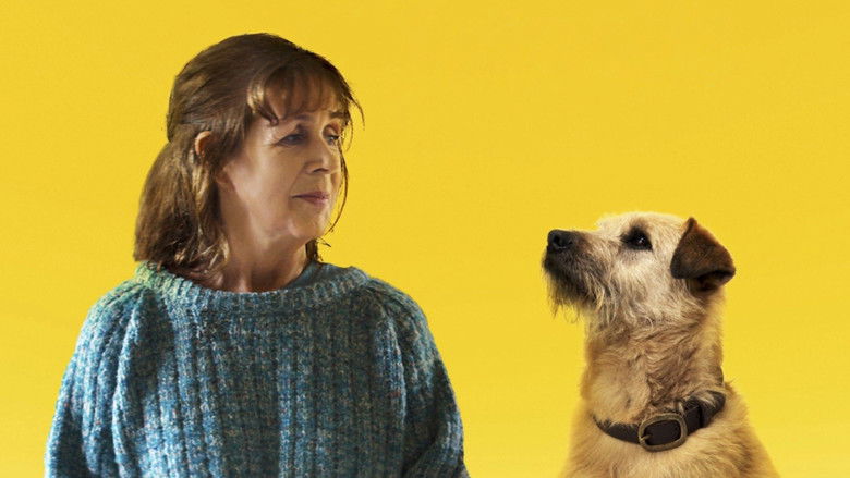 кадр из фильма Róise & Frank