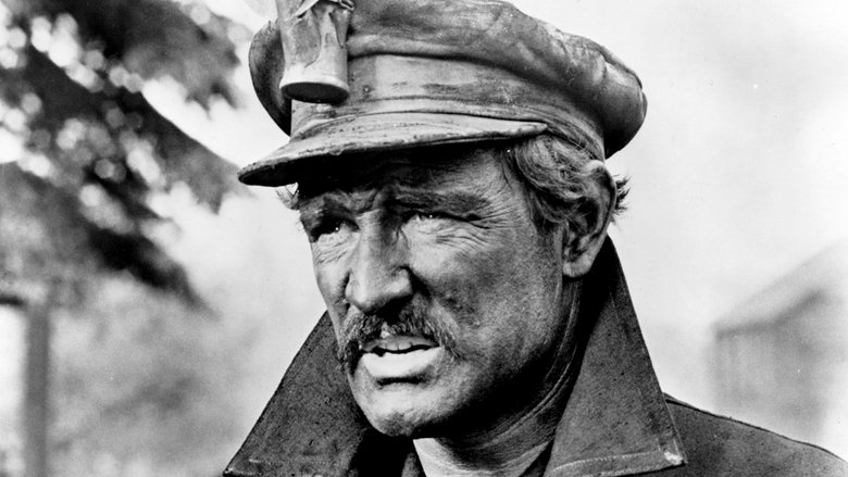 кадр из фильма Молли Магуайерс