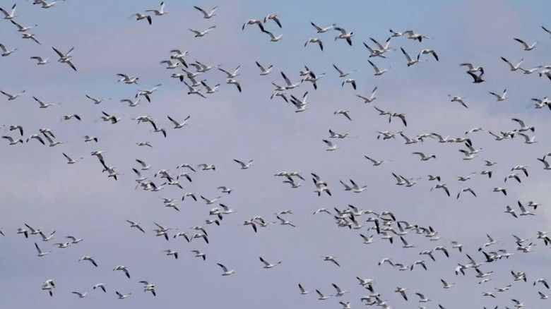 кадр из фильма Tout va mieux