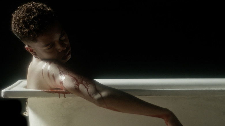 кадр из фильма PERDÓN