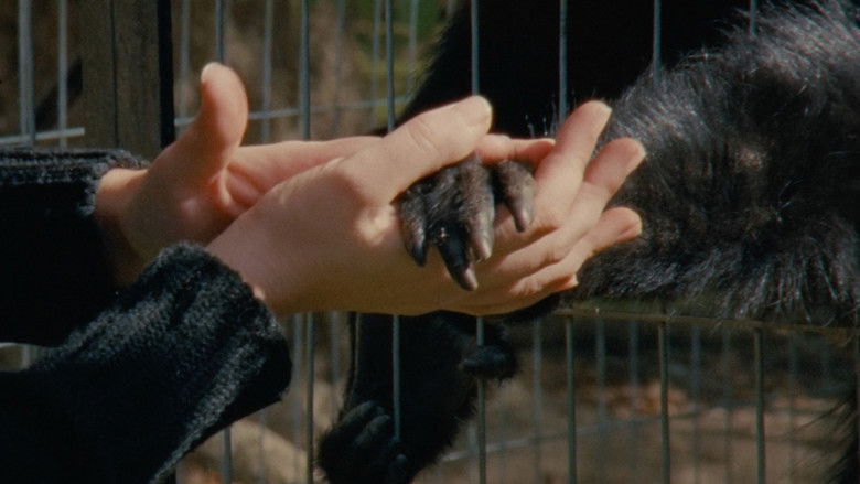 кадр из фильма Monólogo colectivo