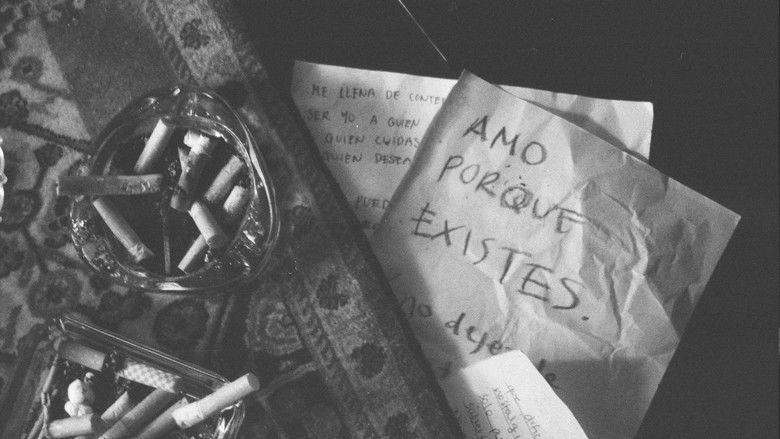 кадр из фильма Quiero un amor con hambre de mí, pero no de mi cuerpo