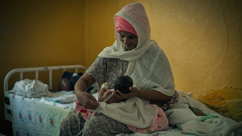 кадр из фильма También lo siento