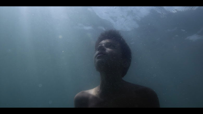 кадр из фильма Pietre Sommerse