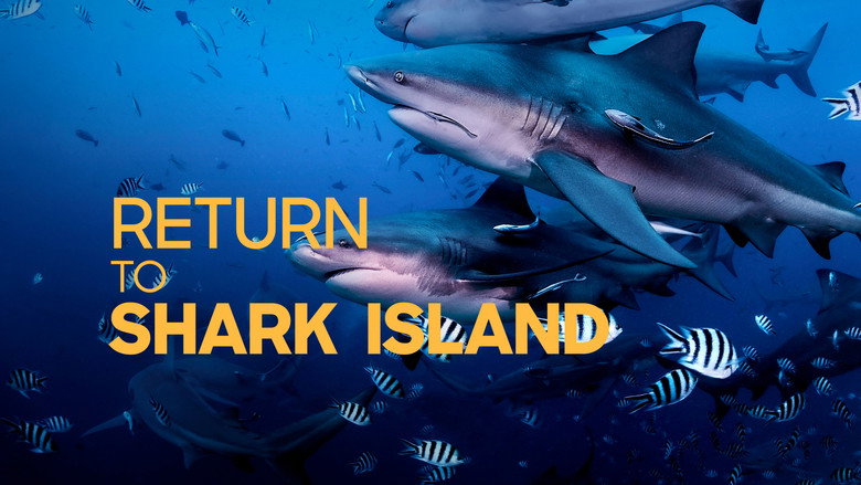 кадр из фильма Return to Shark Island