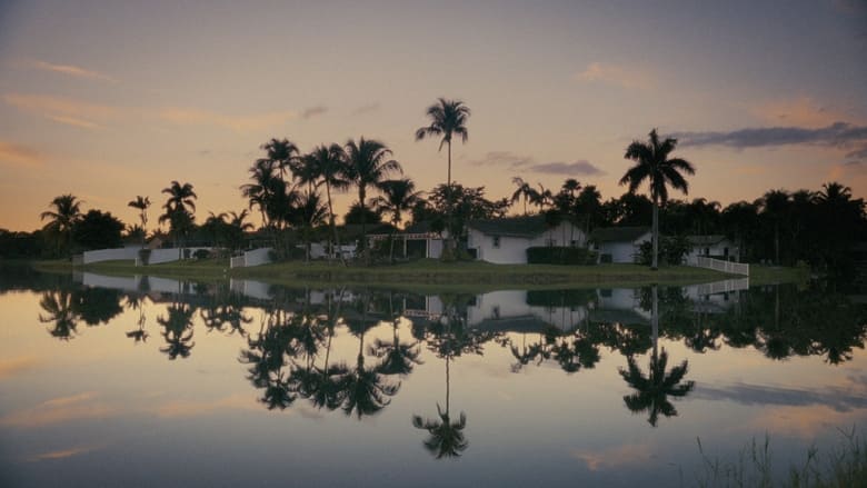 кадр из фильма La Inmortalidad De La Cangreja