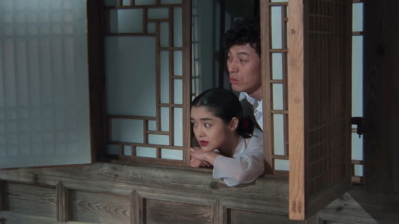 кадр из фильма 금홍아 금홍아