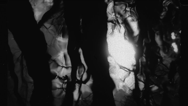 кадр из фильма Black River