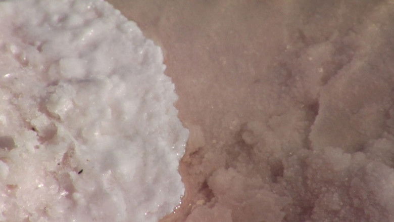 кадр из фильма Scene 32