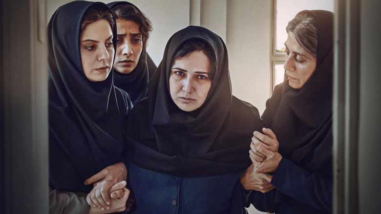 кадр из фильма Birth Certificate