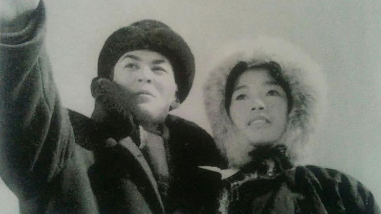 кадр из фильма Нөмрөг хадны цуурай