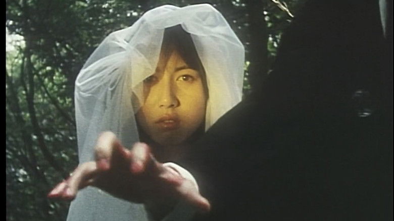 кадр из фильма EMOTION 伝説の午後＝いつか見たドラキュラ