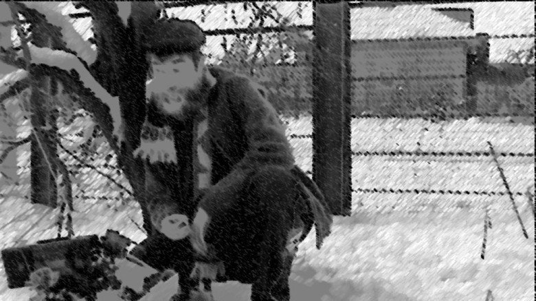 кадр из фильма Человек, который любил цветы