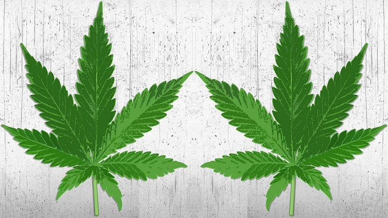 кадр из фильма High There