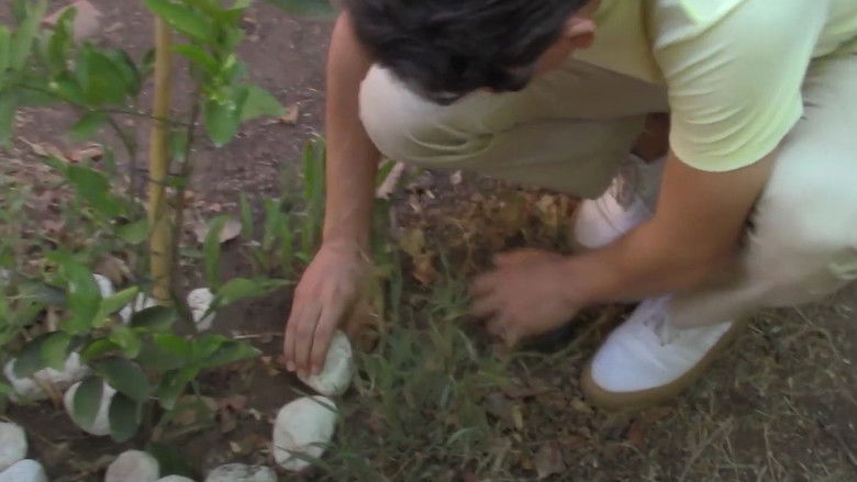 кадр из фильма Cero de enero