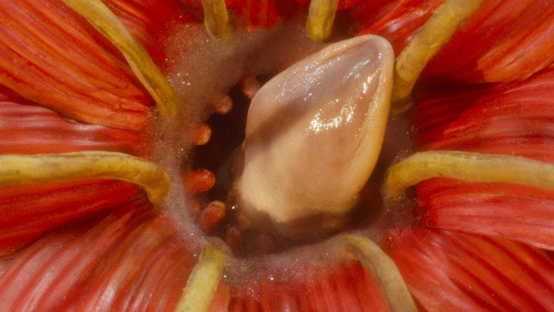 кадр из фильма Адела еще не ужинала