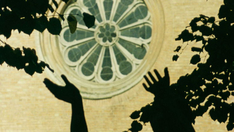 кадр из фильма The Sparrow Dream