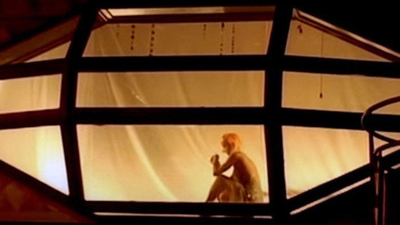 кадр из фильма La notte lunga