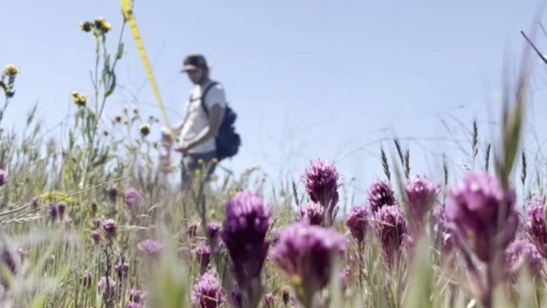 кадр из фильма Try