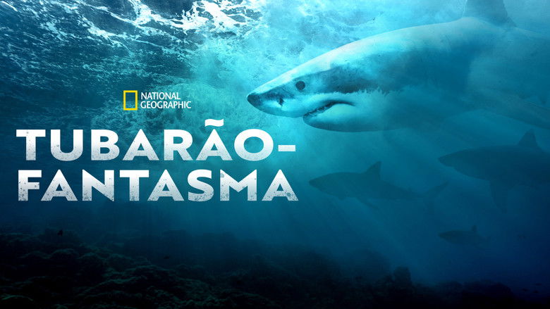 кадр из фильма Акула - хищник в камуфляже