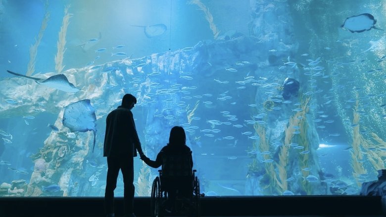 кадр из фильма Жозе