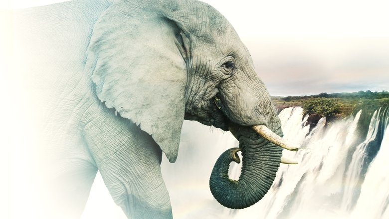 кадр из фильма Victoria Falls: Africa's Garden of Eden