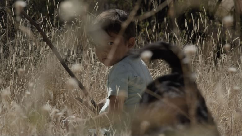 кадр из фильма Сухо