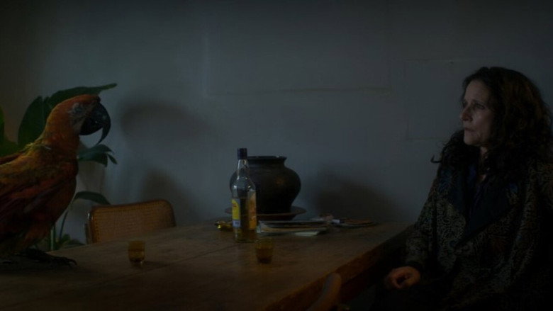 кадр из фильма Тьюздей