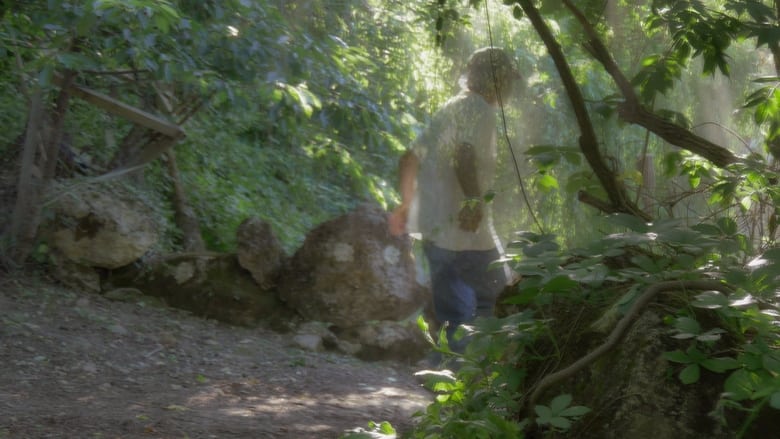 кадр из фильма Pelle vegetale. Un'intervista