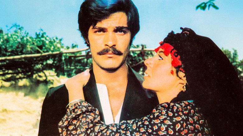 кадр из фильма Ezo Gelin