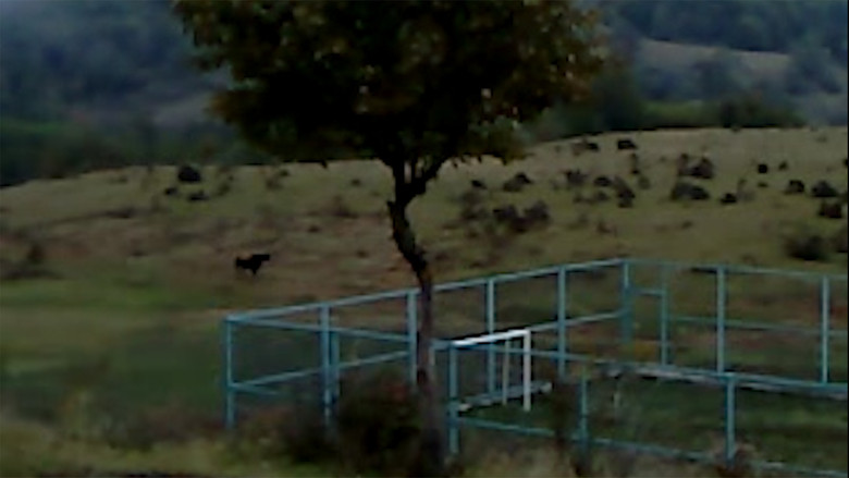 кадр из фильма ხმელი ფოთოლი