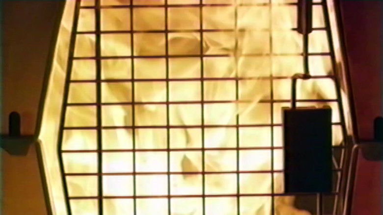 кадр из фильма She's Allergic to Cats