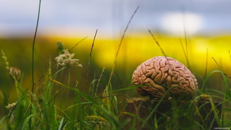 кадр из фильма Climat : Mon cerveau fait l'autruche