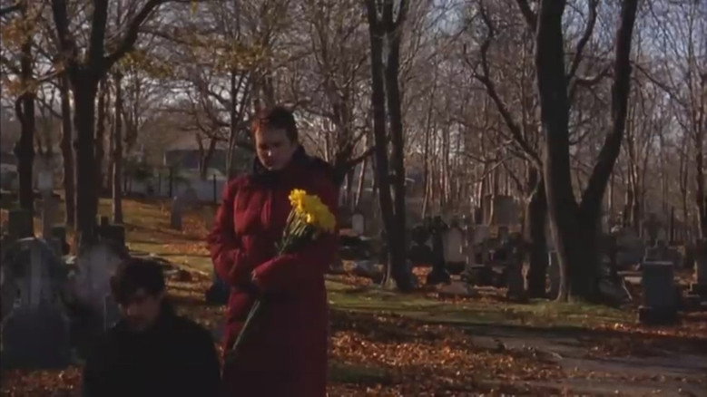 кадр из фильма Flowers for David