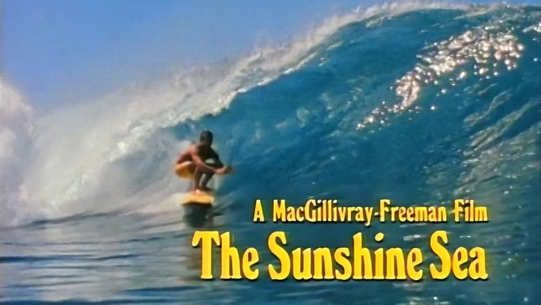 кадр из фильма The Sunshine Sea