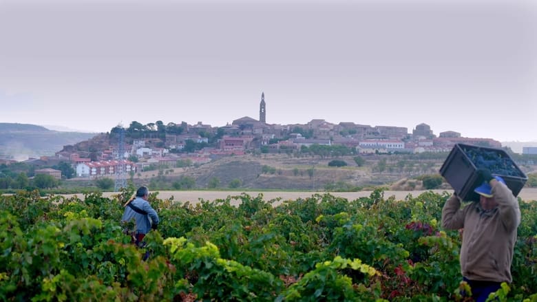 кадр из фильма Rioja, la tierra de los mil vinos