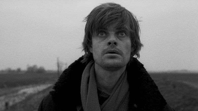 кадр из фильма Гармонии Веркмейстера