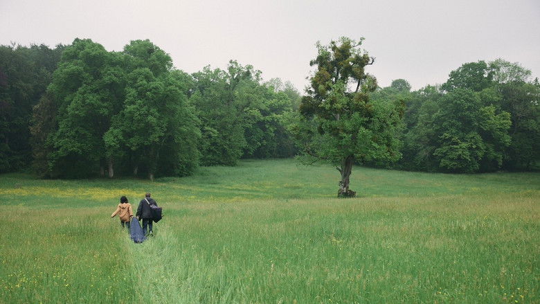 кадр из фильма Змеиная тропа