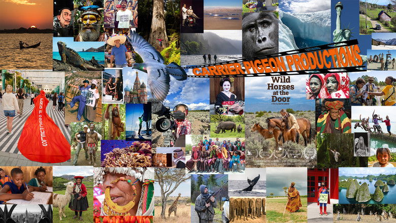 кадр из фильма Wild Horses at the Door