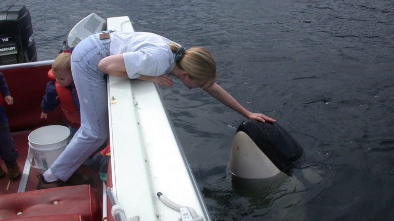 кадр из фильма The Whale