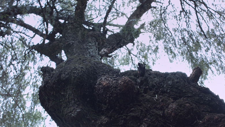 кадр из фильма Raíces