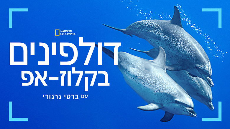 кадр из фильма В мире дельфинов с Берти Грегори