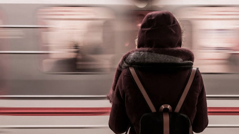 кадр из фильма Estrangeiros na Escola