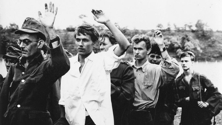 кадр из фильма Так я пришел