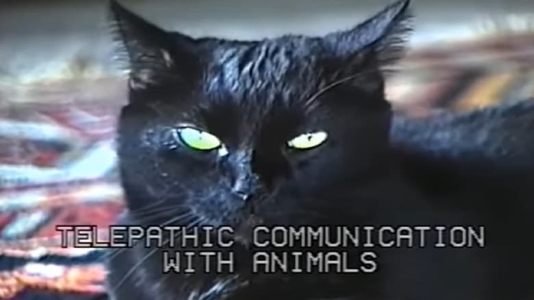 кадр из фильма Telepathic Communication with Animals