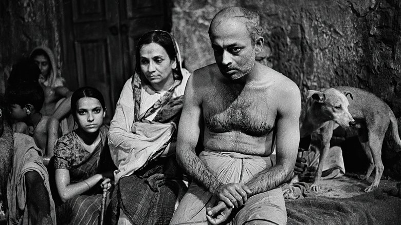 кадр из фильма কলকাতা ৭১