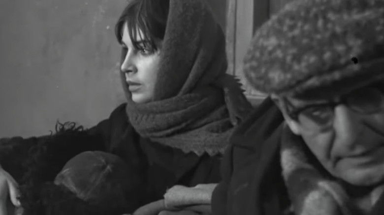 кадр из фильма Материнское поле